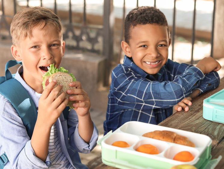 How to Stop a Moldy Lunchbox - innobaby