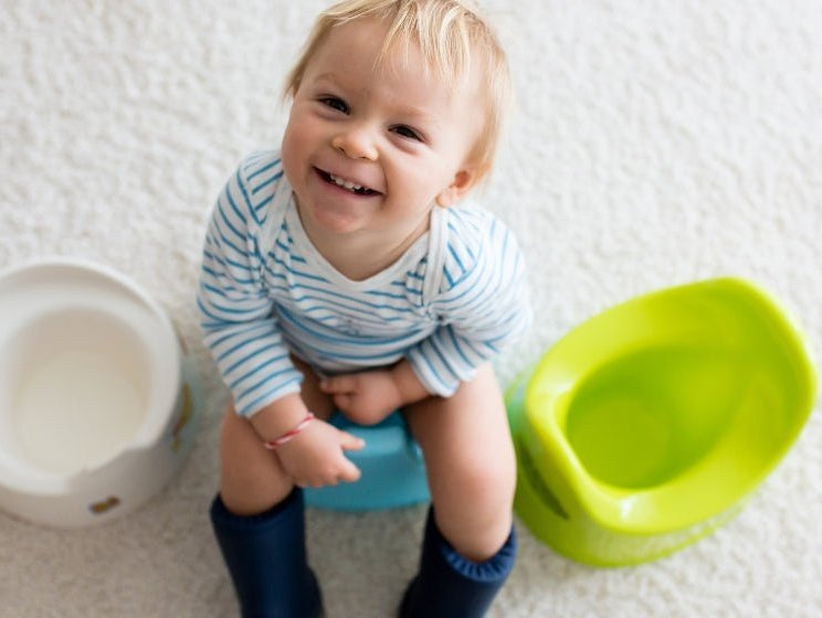 It's Potty Time! Toddler Training Tips - innobaby