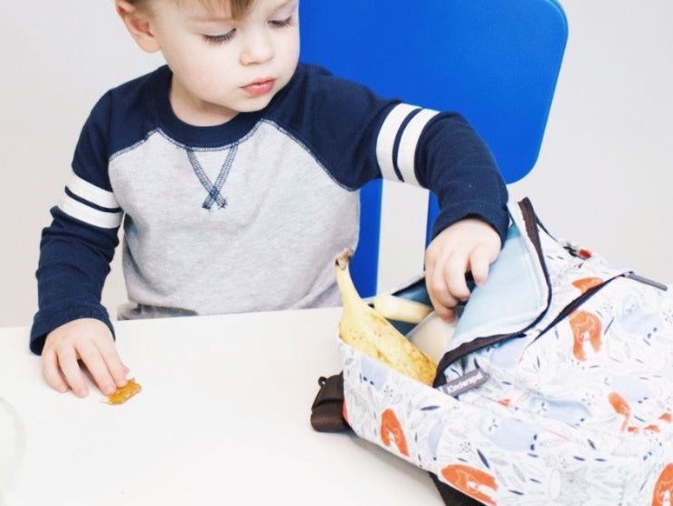 Kinderspel Insulated Toddler Backpack With Tether – REVIEW - innobaby