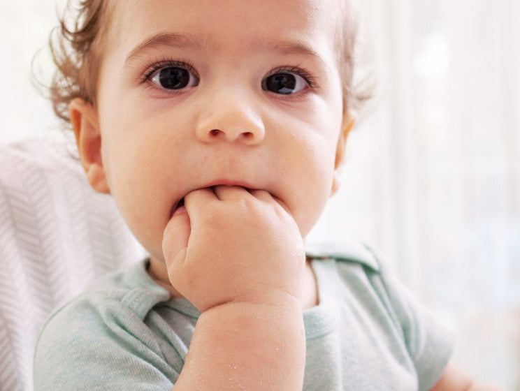 Let's Talk About Teething - innobaby