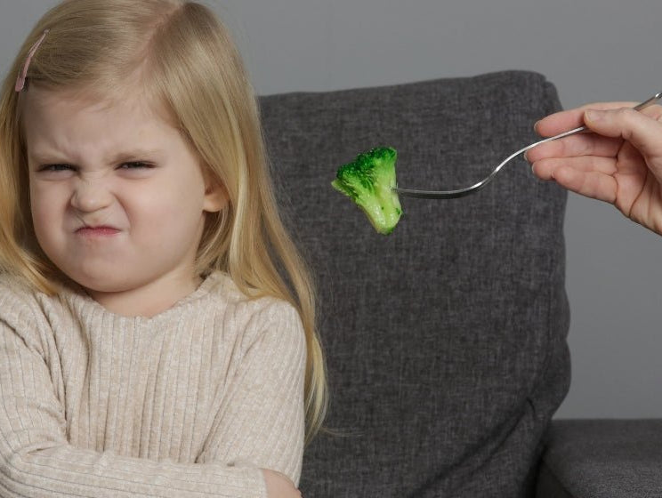 Lunchbox Help for Picky Eaters - innobaby