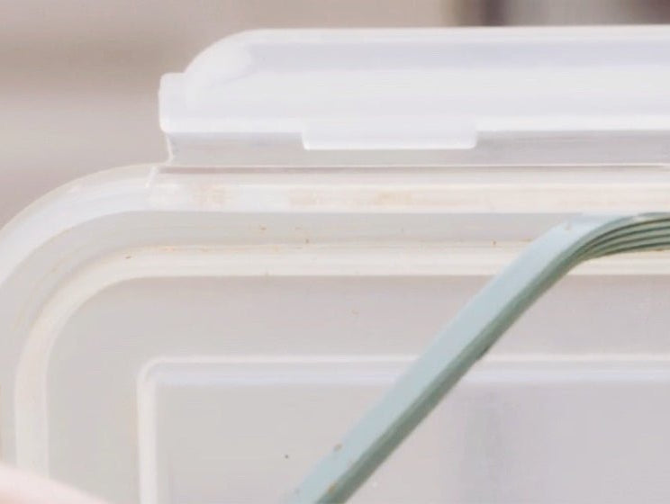 Moldy Lunchbox? Here’s What to Do - innobaby