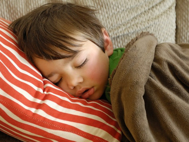 New Year Refresh: Nap Essentials for Toddlers - innobaby