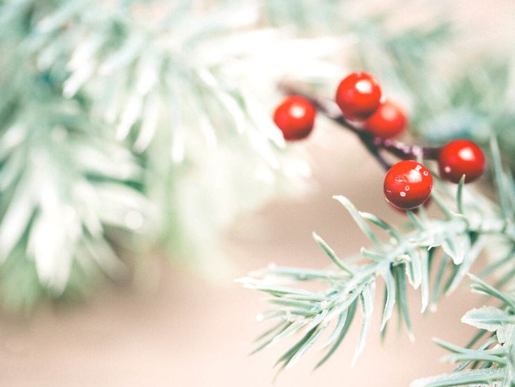 Simple #2020 Holiday Memories: Spreading Cheer in quite the year - innobaby