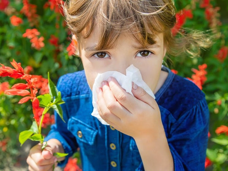 Spring Allergy Season with Kids: 3 Tips - innobaby