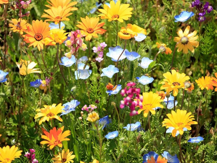 Spring break - travel secrets - innobaby