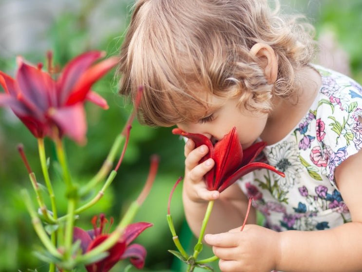 Spring Outings and Your Toddler - innobaby