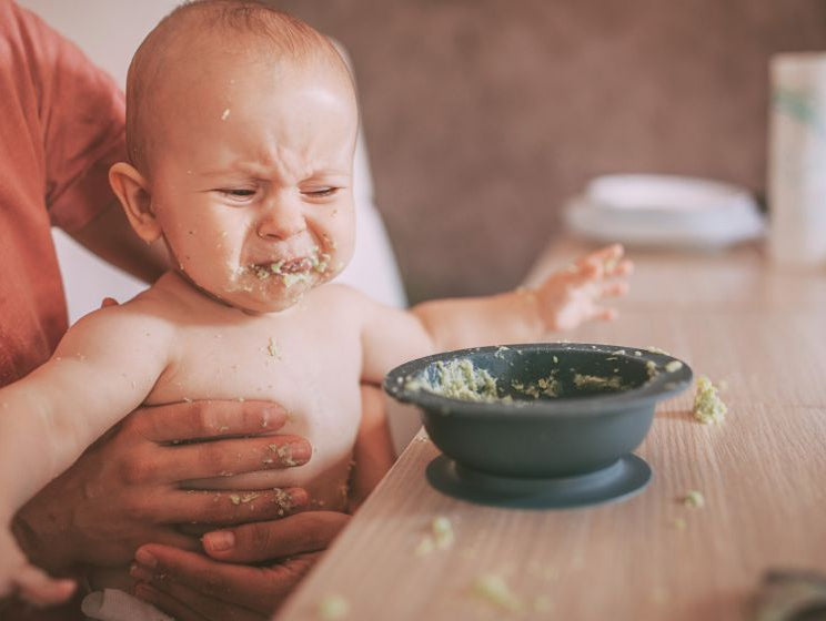 Understanding Oral Development - innobaby