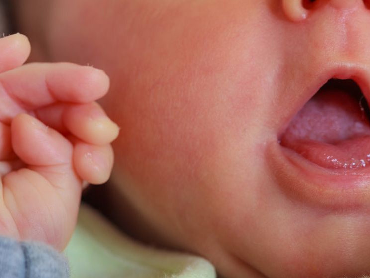 Understanding Your Baby’s Oral Health - innobaby