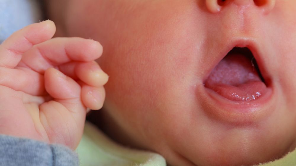 Understanding Your Baby’s Oral Health - innobaby