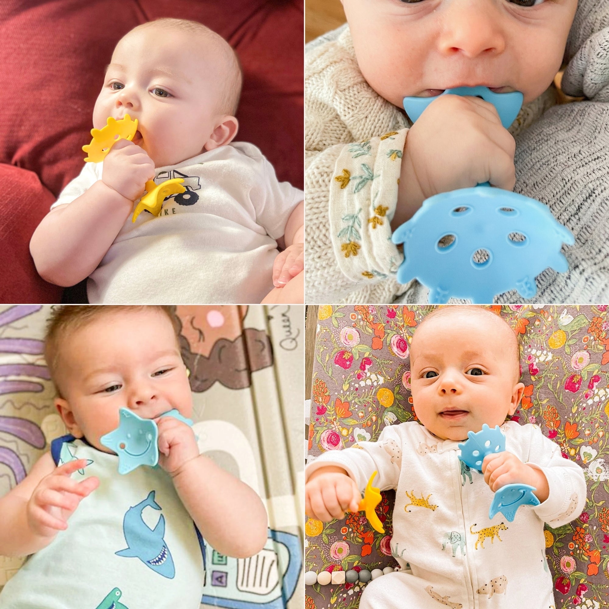 Oral & Motor Developmental Set - innobaby