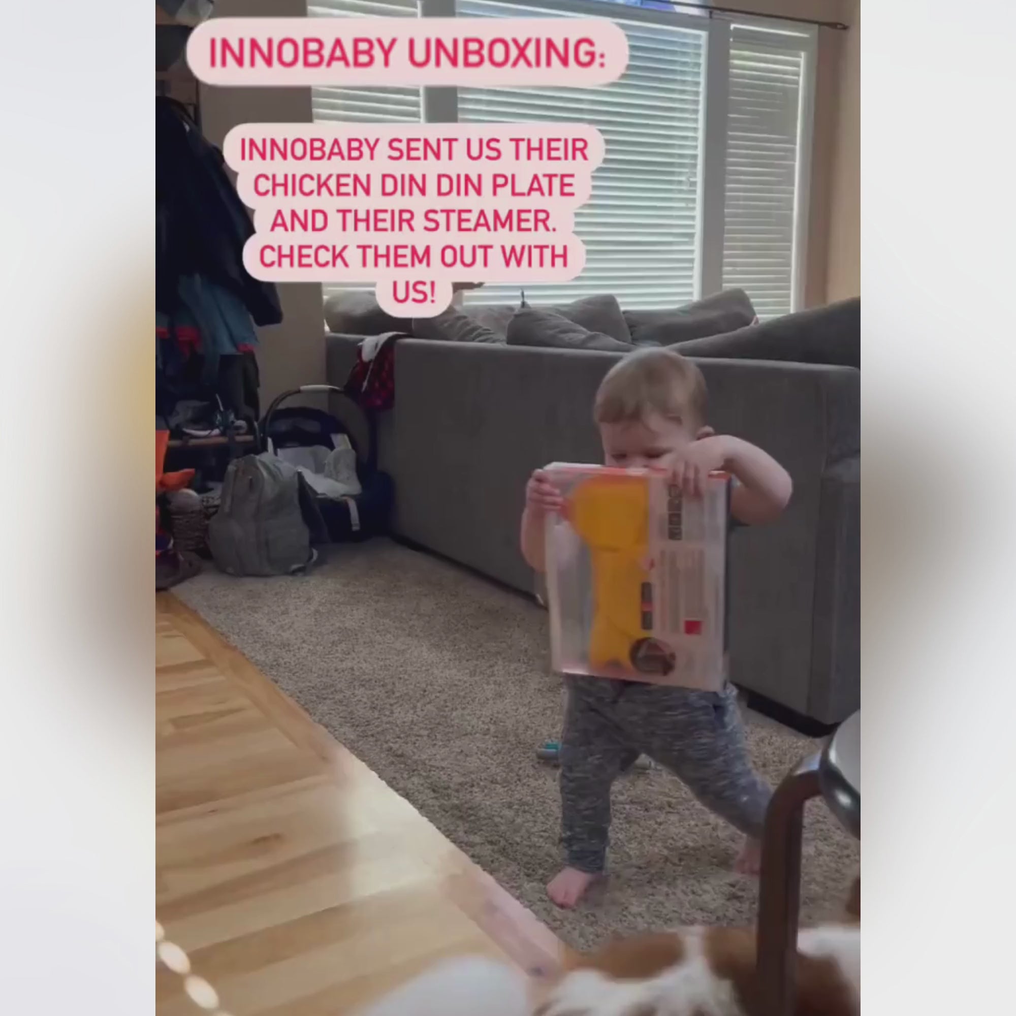 Silicone Suction Divided Chicken Plate Review