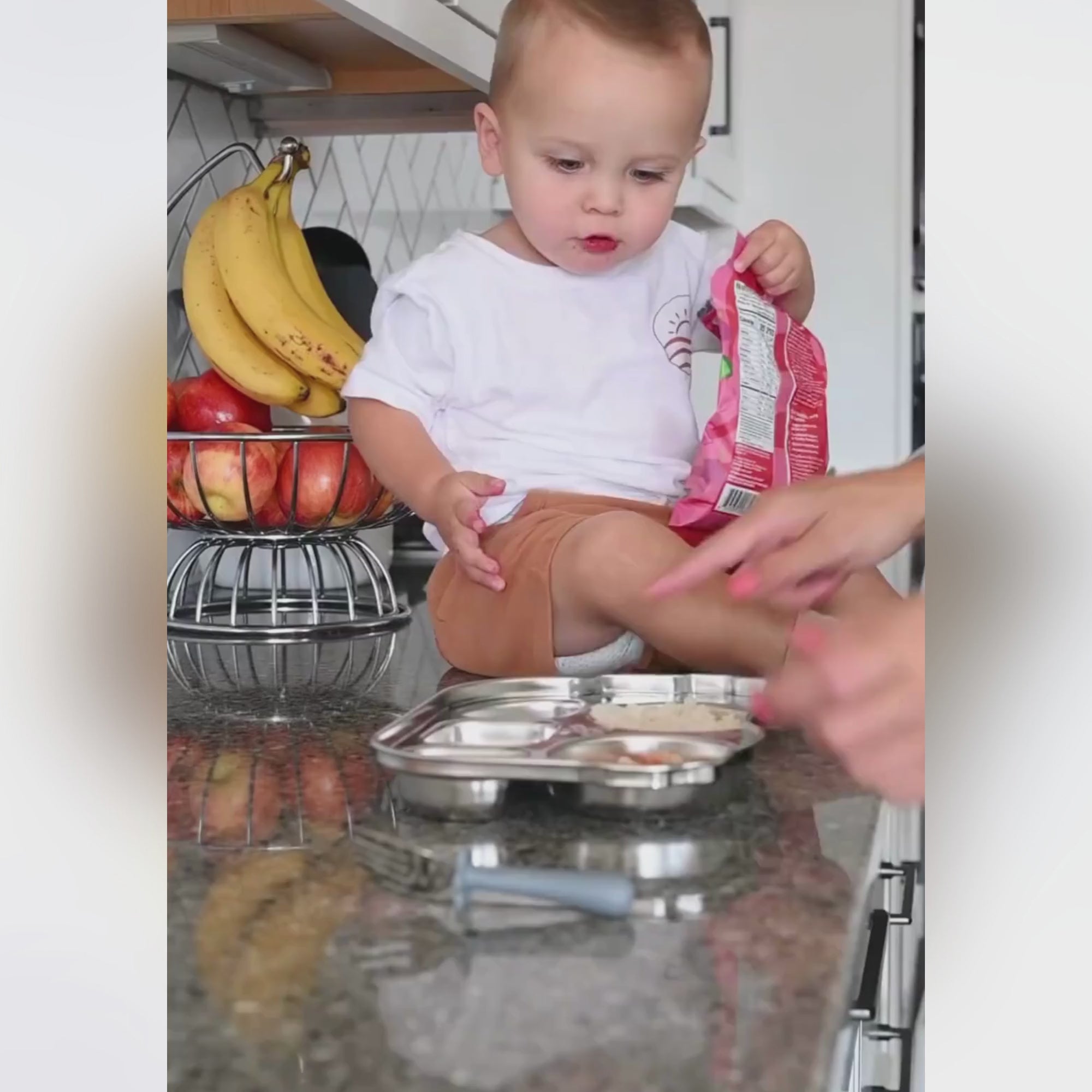 Stainless Divided Bus Plate Video