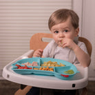 DIN DIN SMART Silicone Suction Divided Chicken Plate - innobaby