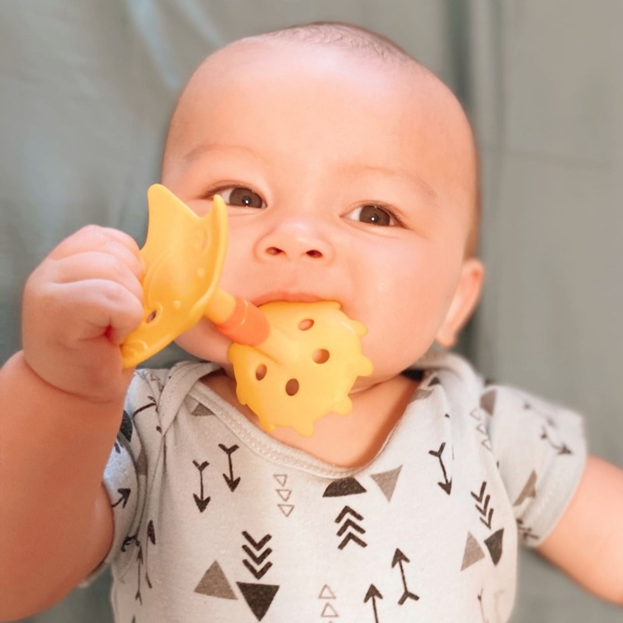 EZ Grip Star Teether / Oral Sensory Developmental Toy - innobaby