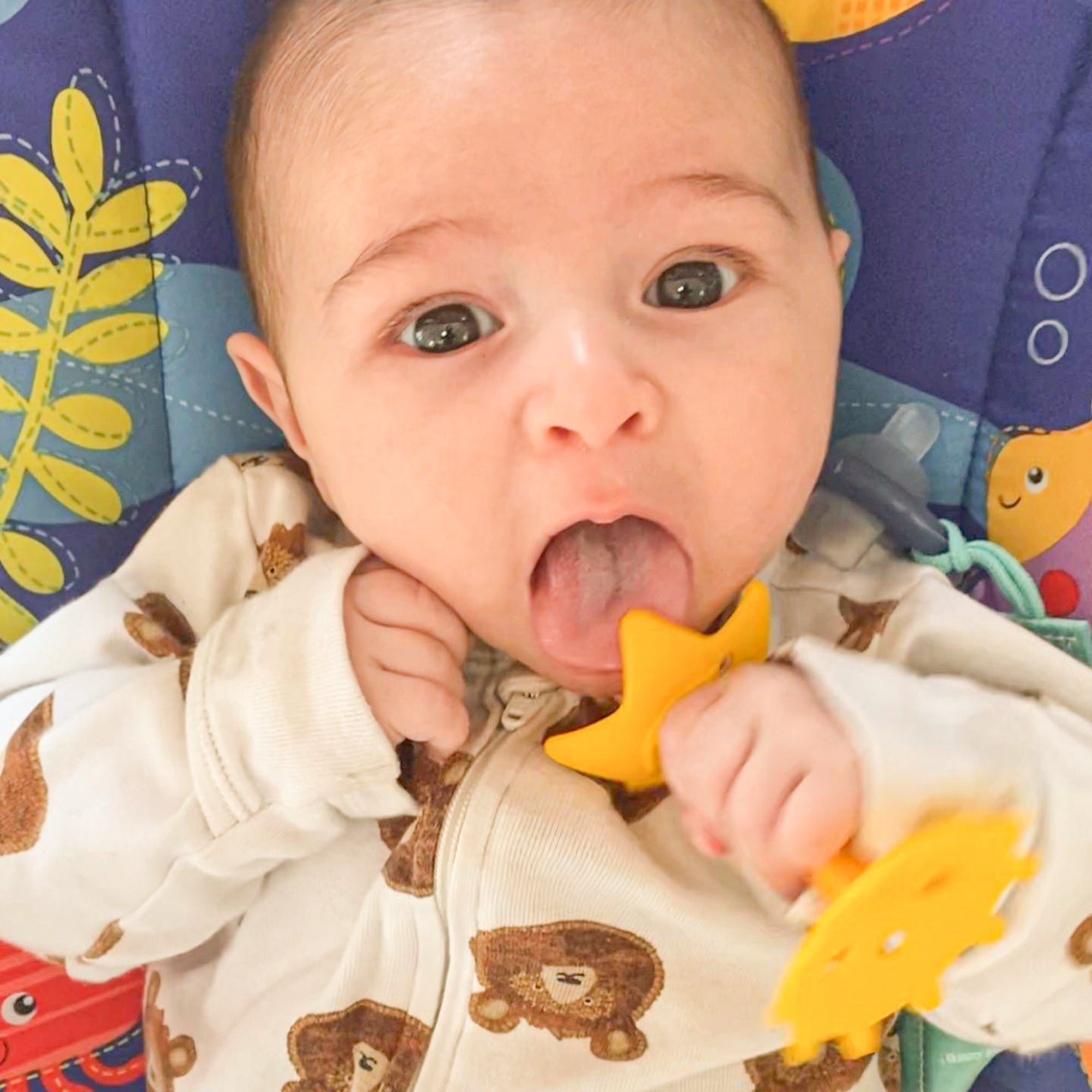 EZ Grip Star Teether / Oral Sensory Developmental Toy - innobaby