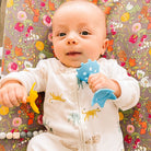 EZ Grip Star Teether / Oral Sensory Developmental Toy - innobaby