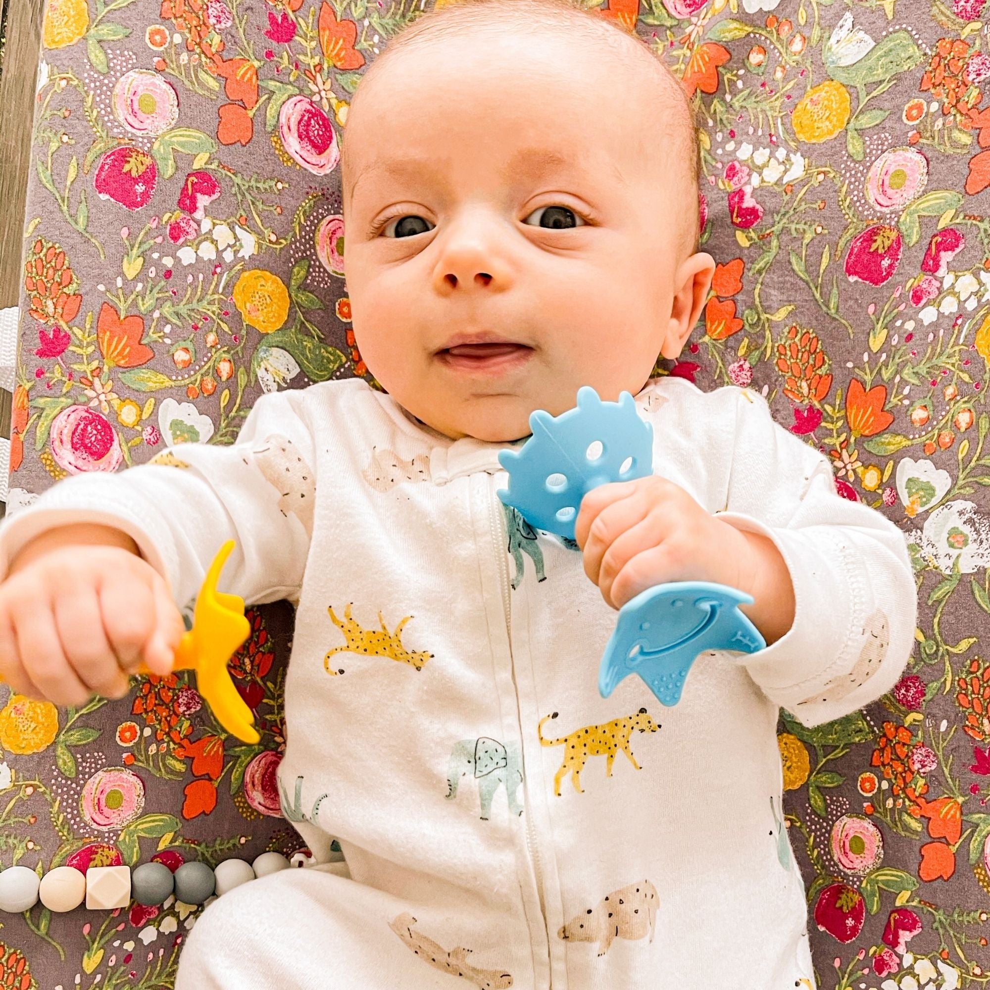 EZ Grip Star Teether / Oral Sensory Developmental Toy - innobaby
