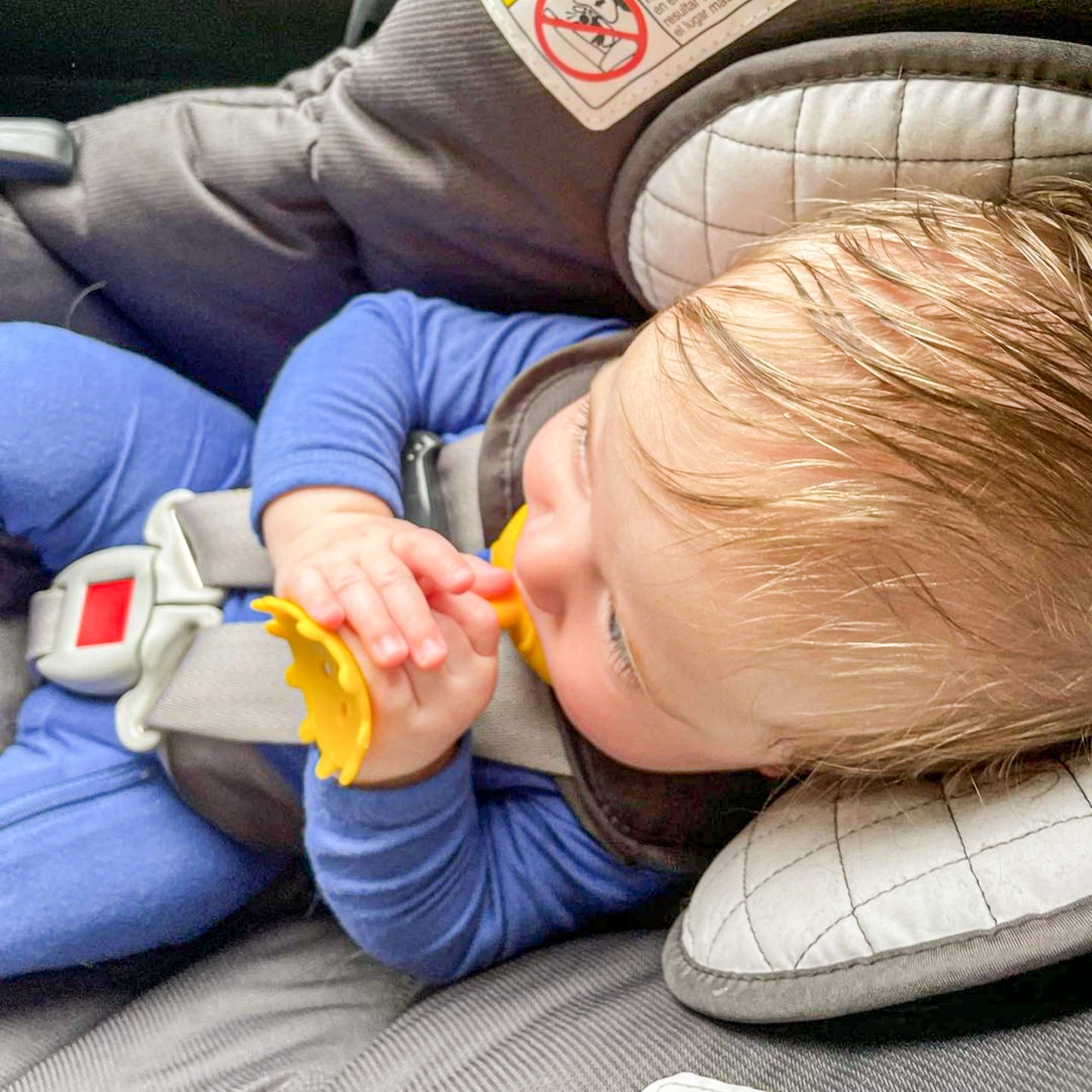 EZ Grip Star Teether / Oral Sensory Developmental Toy - innobaby