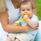 EZ Grip Star Teether / Oral Sensory Developmental Toy - innobaby