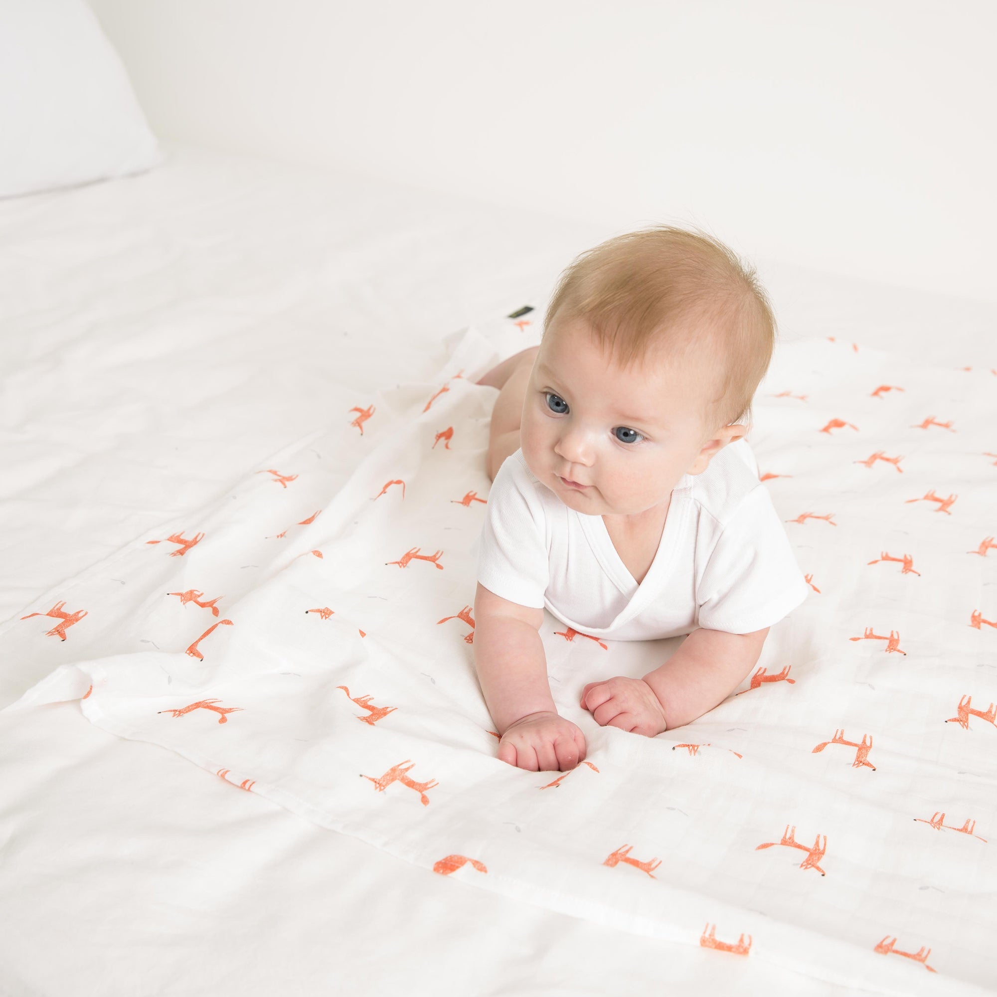 Little Fennec Muslin Blanket - innobaby
