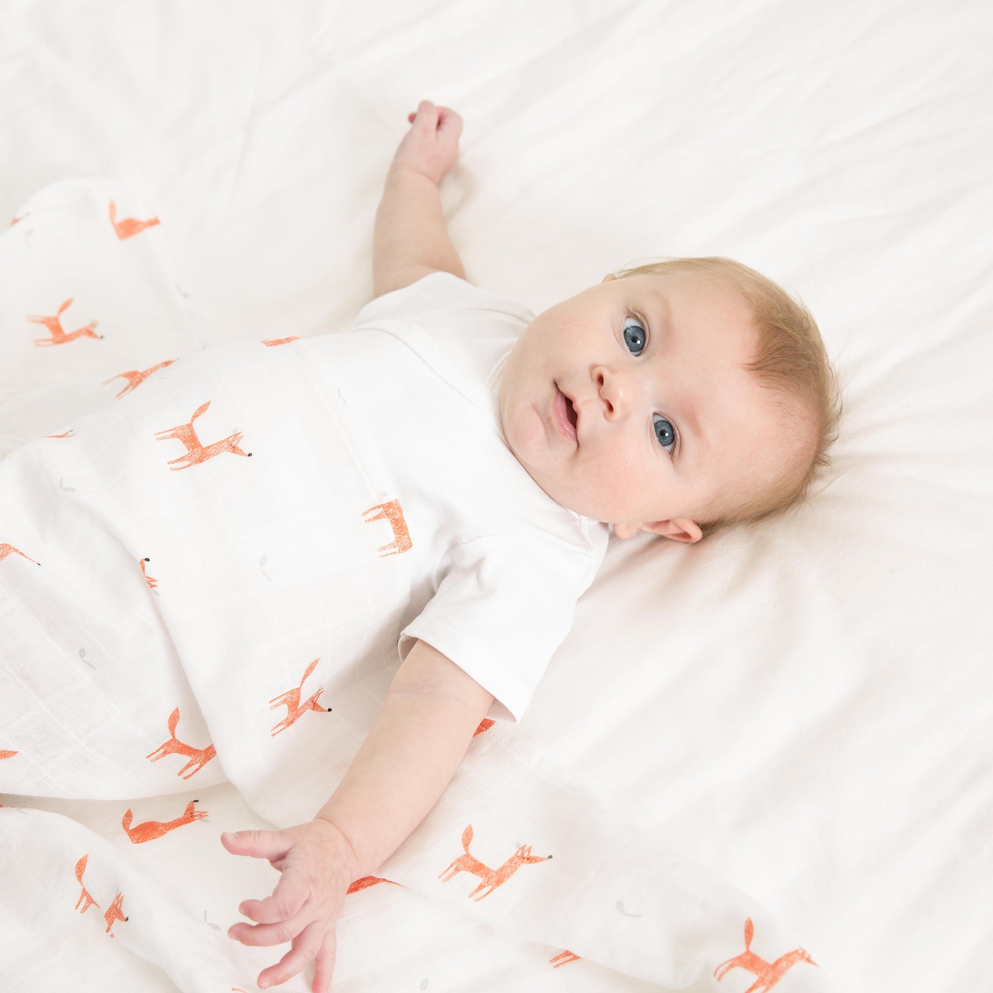 Little Fennec Muslin Blanket - innobaby