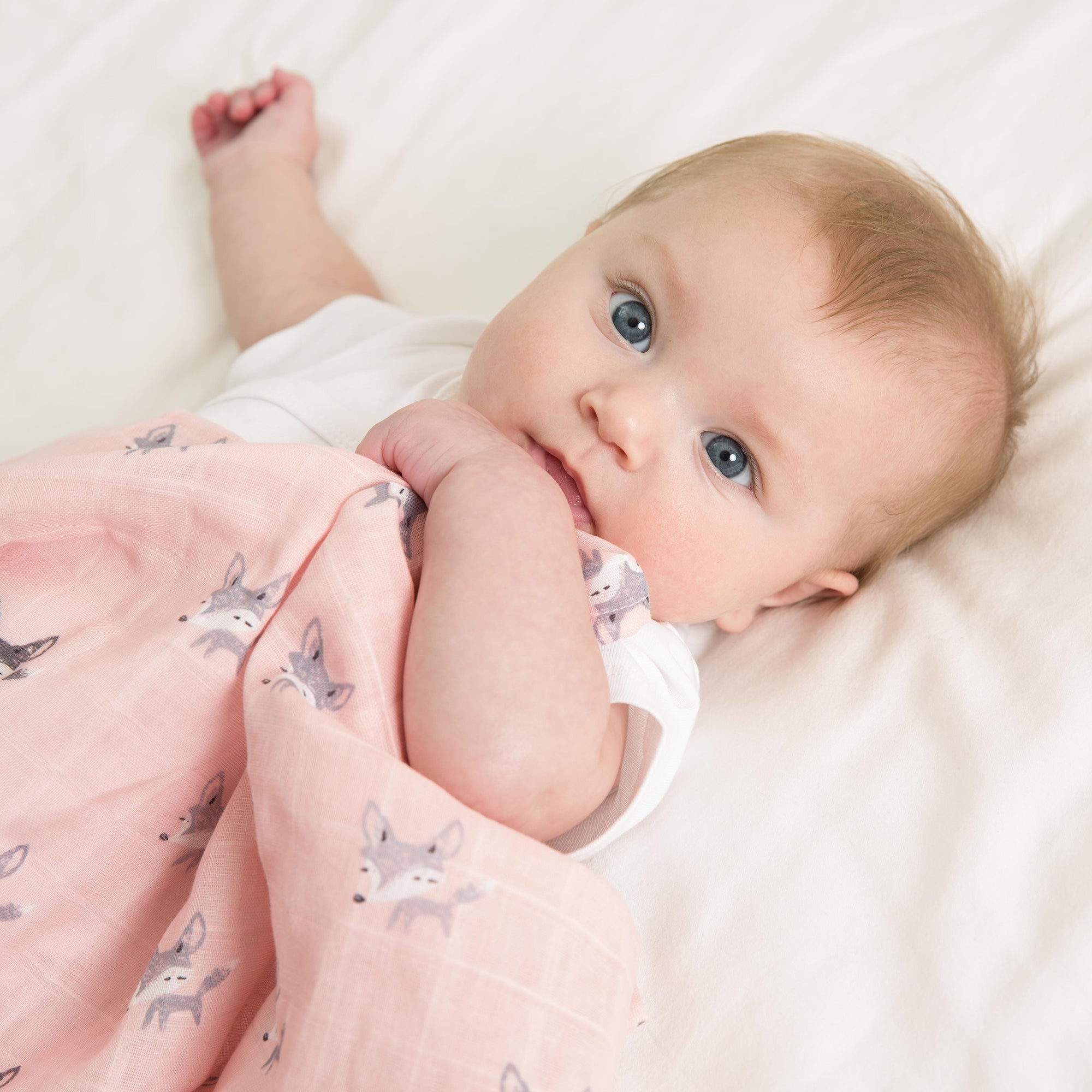 Little Fennec Muslin Blanket - innobaby