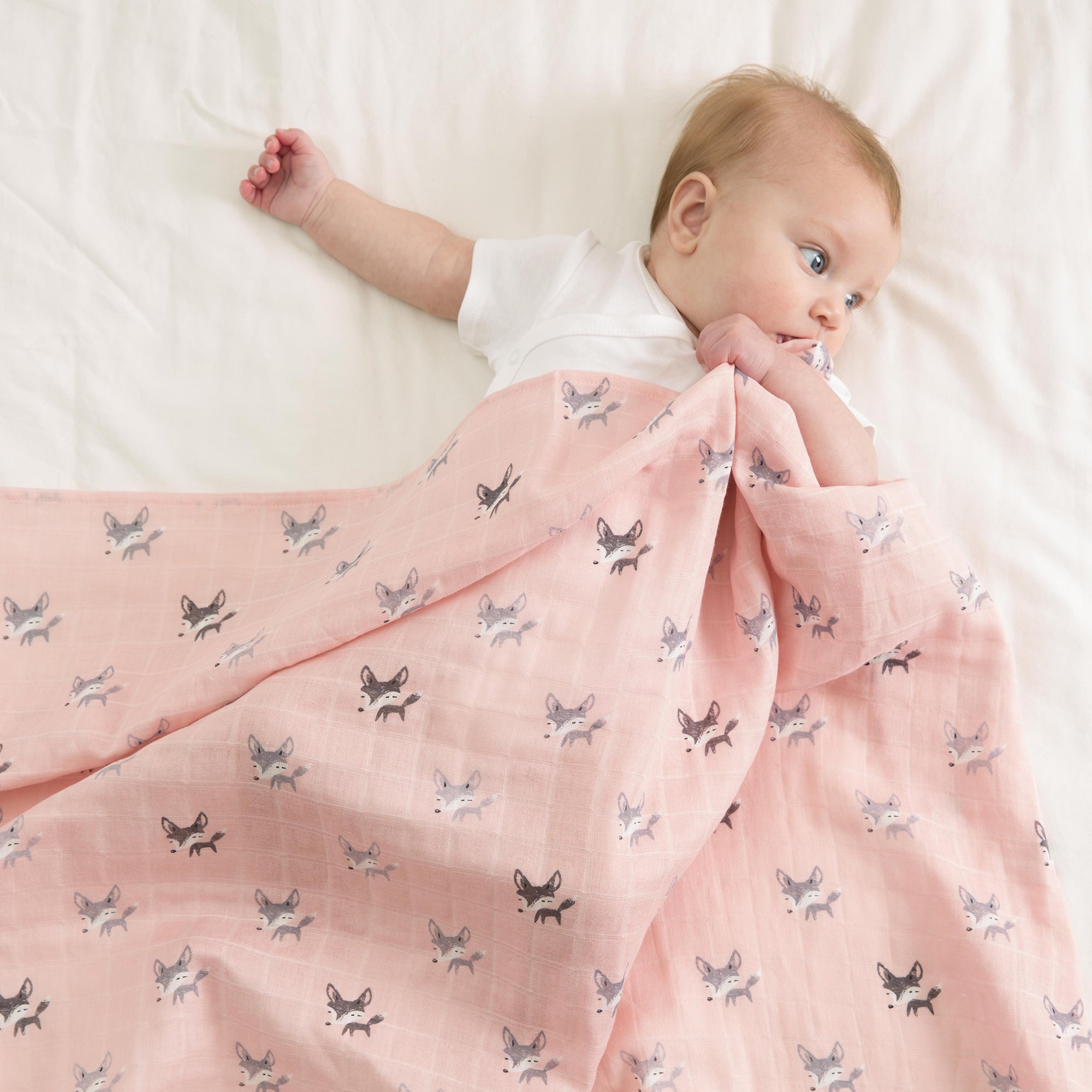 Little Fennec Muslin Blanket - innobaby