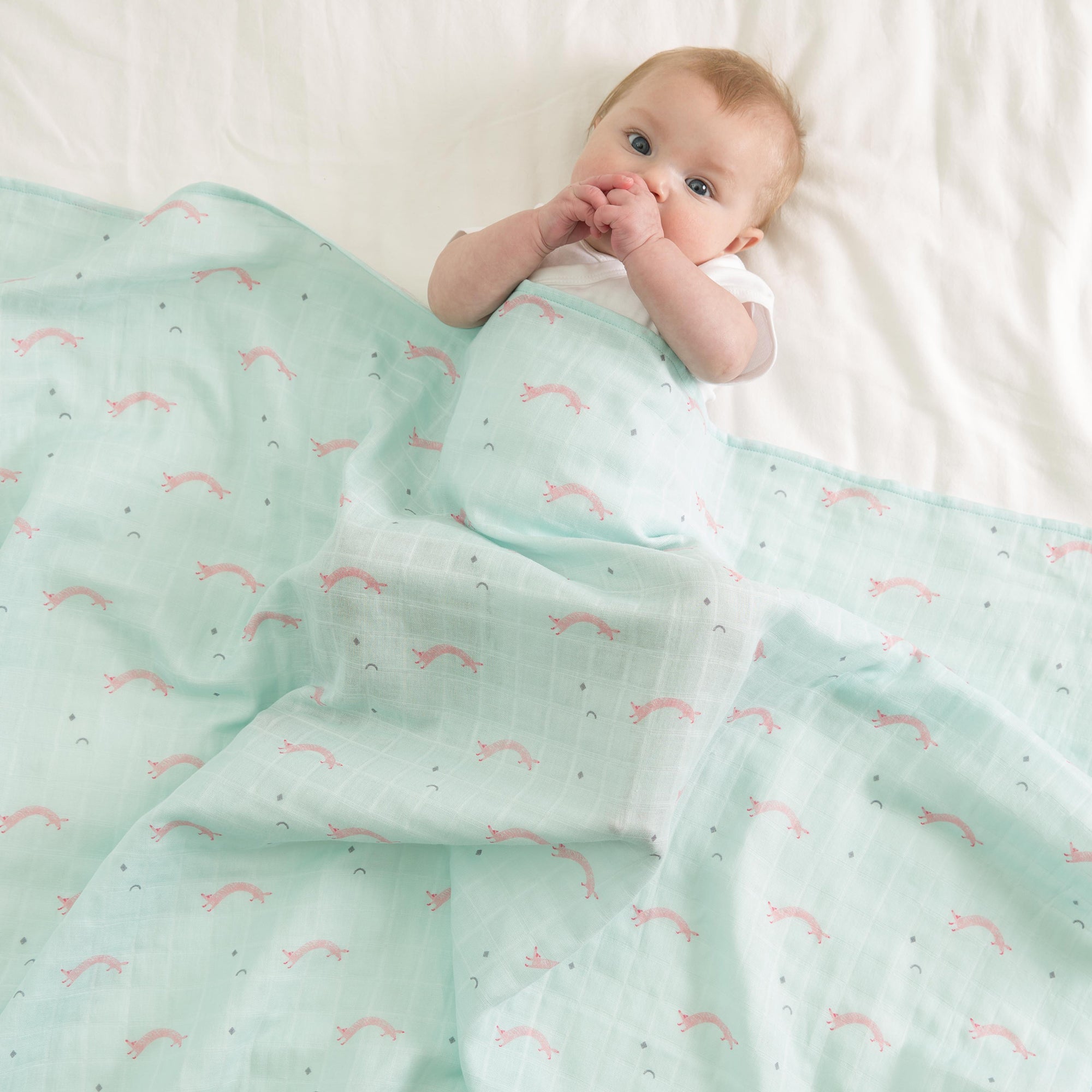Little Fennec Muslin Blanket - innobaby