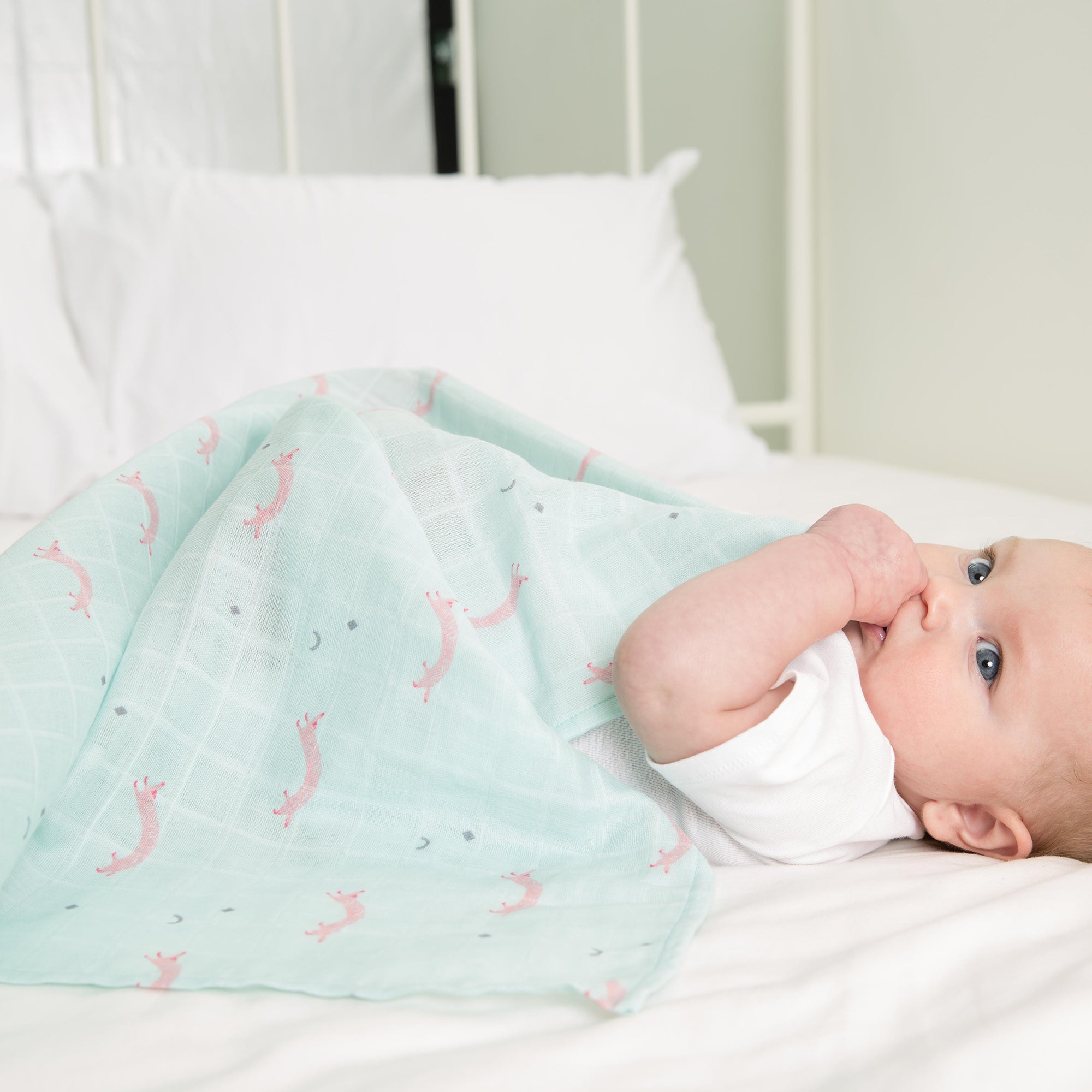 Little Fennec Muslin Blanket - innobaby