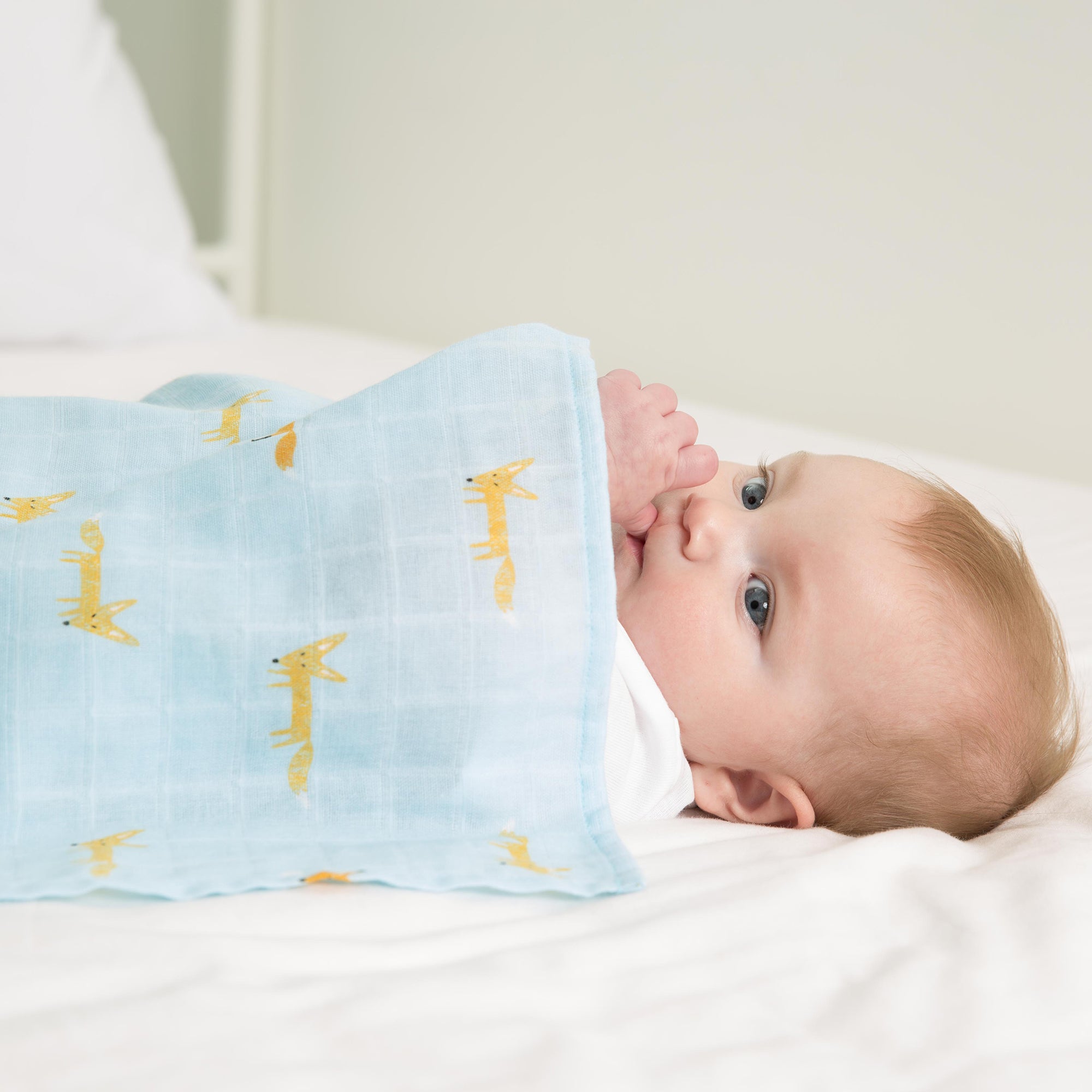 Little Fennec Muslin Blanket - innobaby