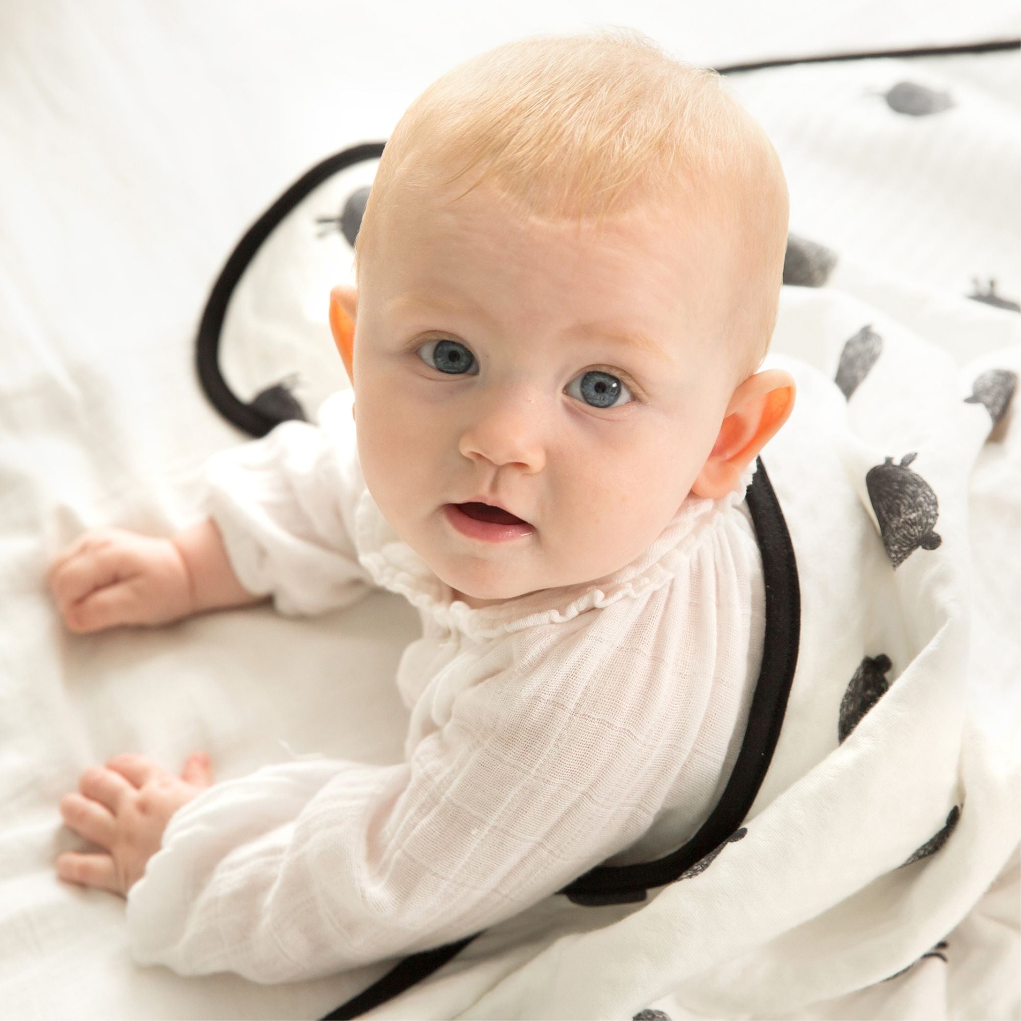 Little Fennec Organic Cotton 2-ply Knit Blanket - innobaby