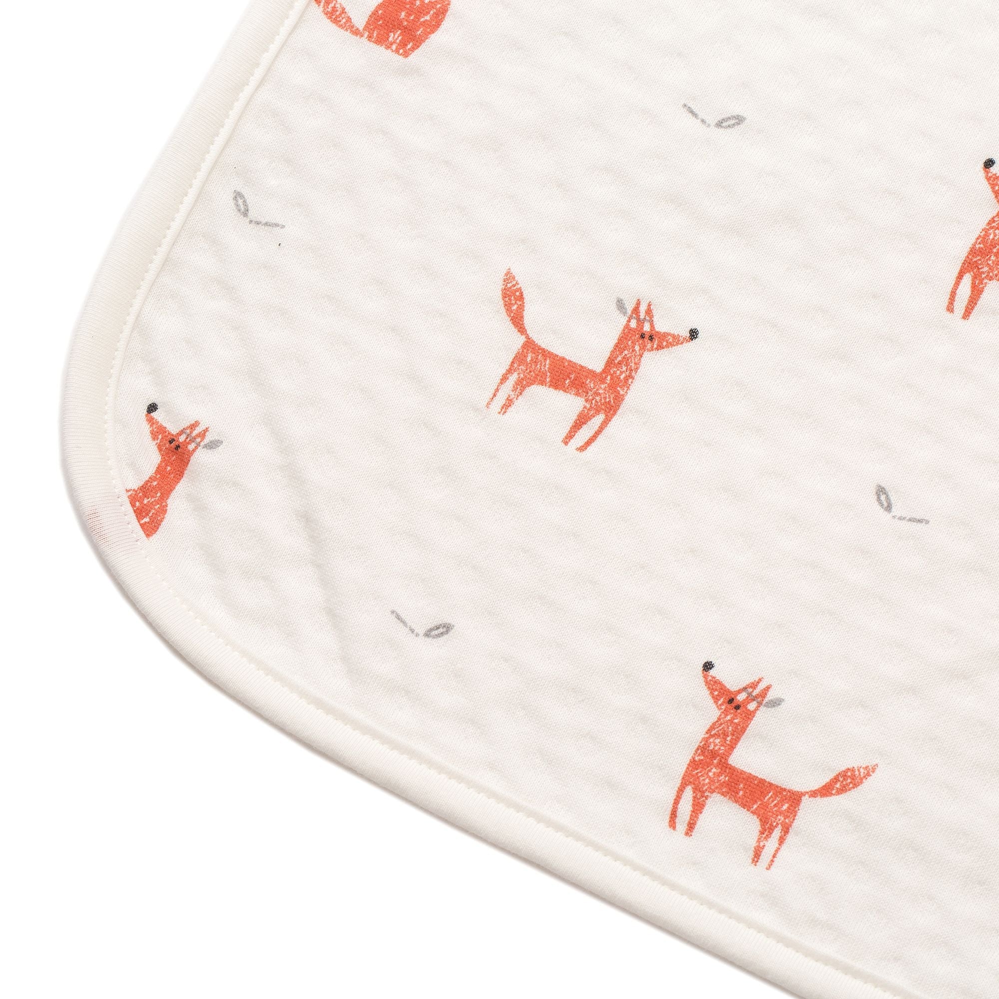 Little Fennec Organic Cotton 2-ply Knit Blanket - innobaby