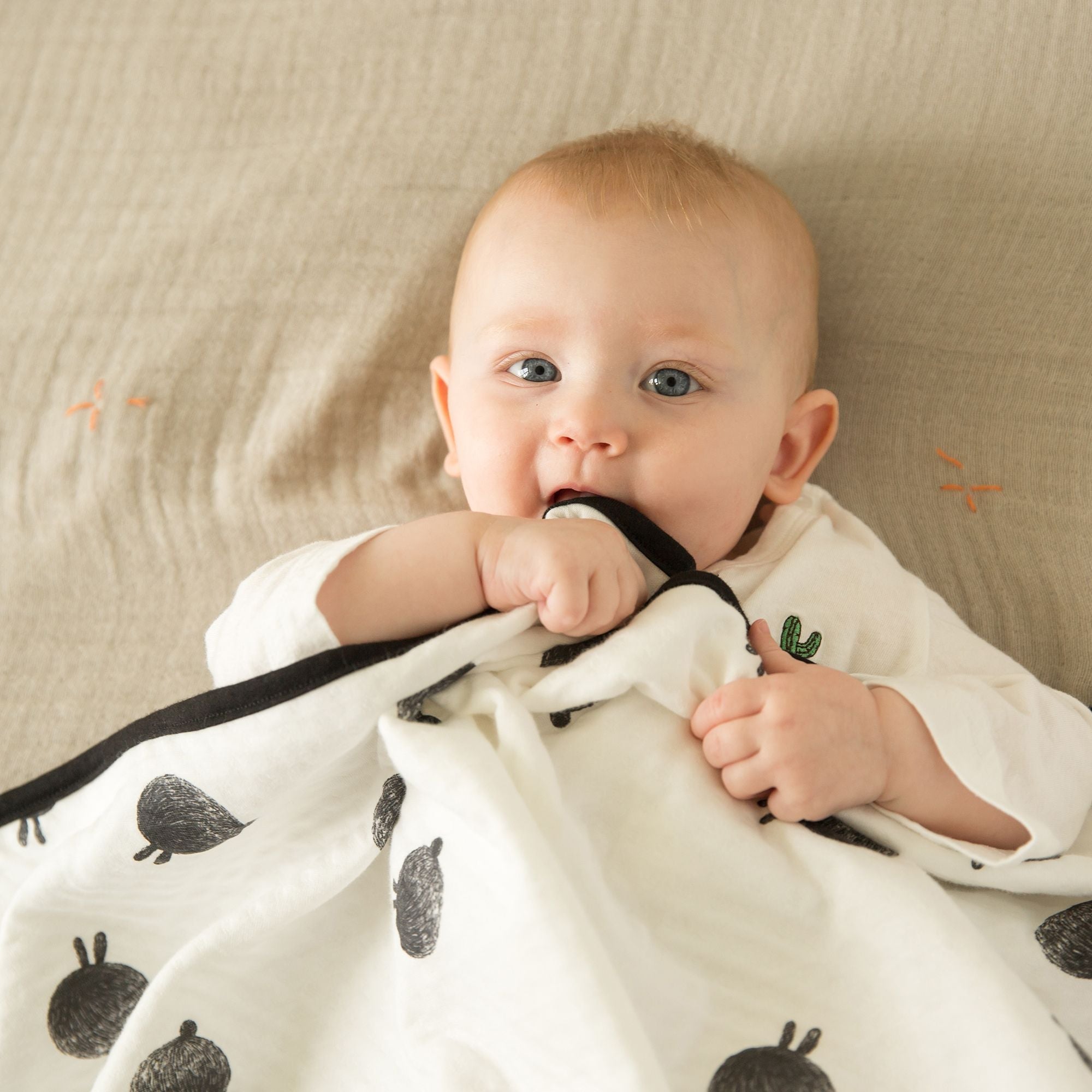 Little Fennec Organic Cotton 2-ply Knit Blanket - innobaby