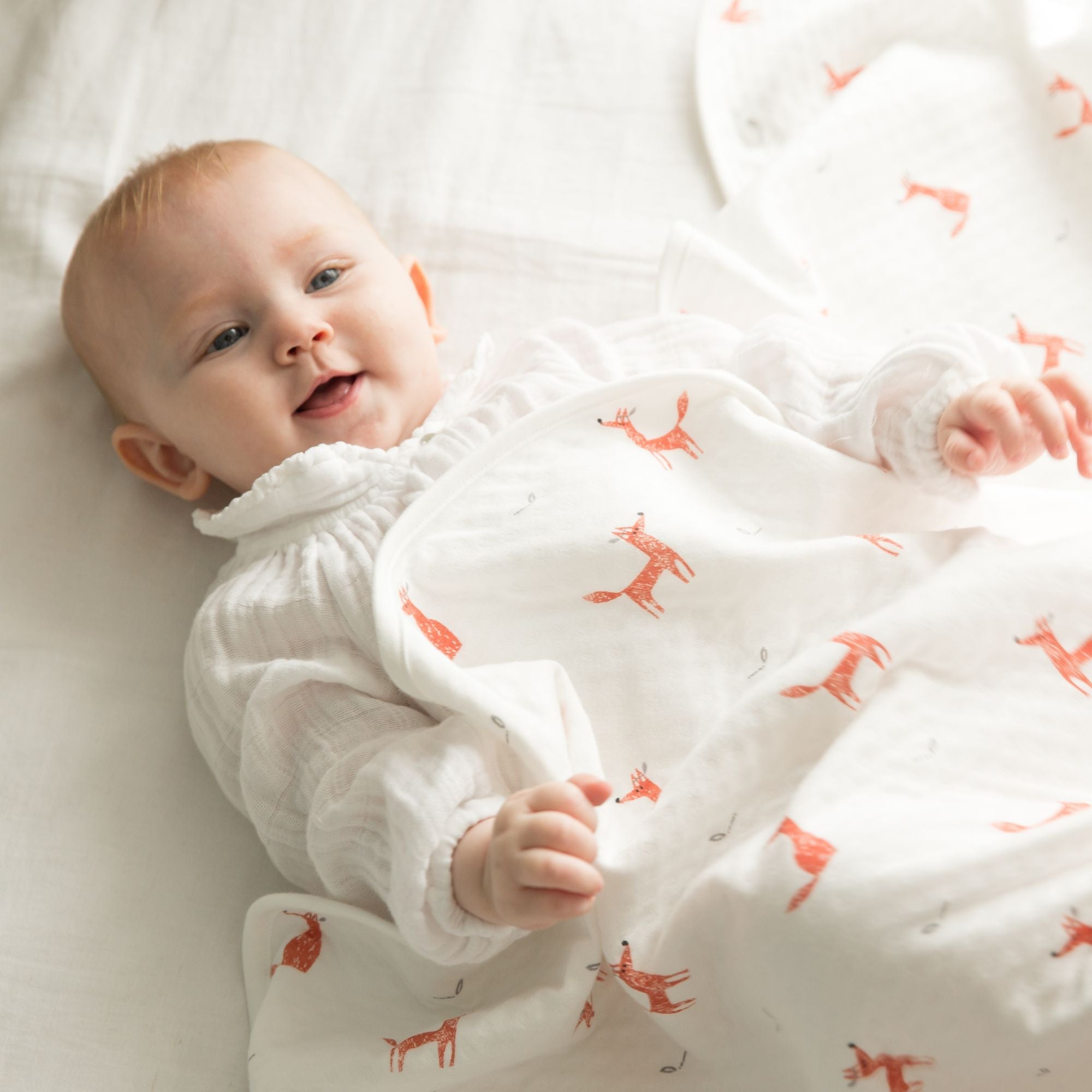 Little Fennec Organic Cotton 2-ply Knit Blanket - innobaby