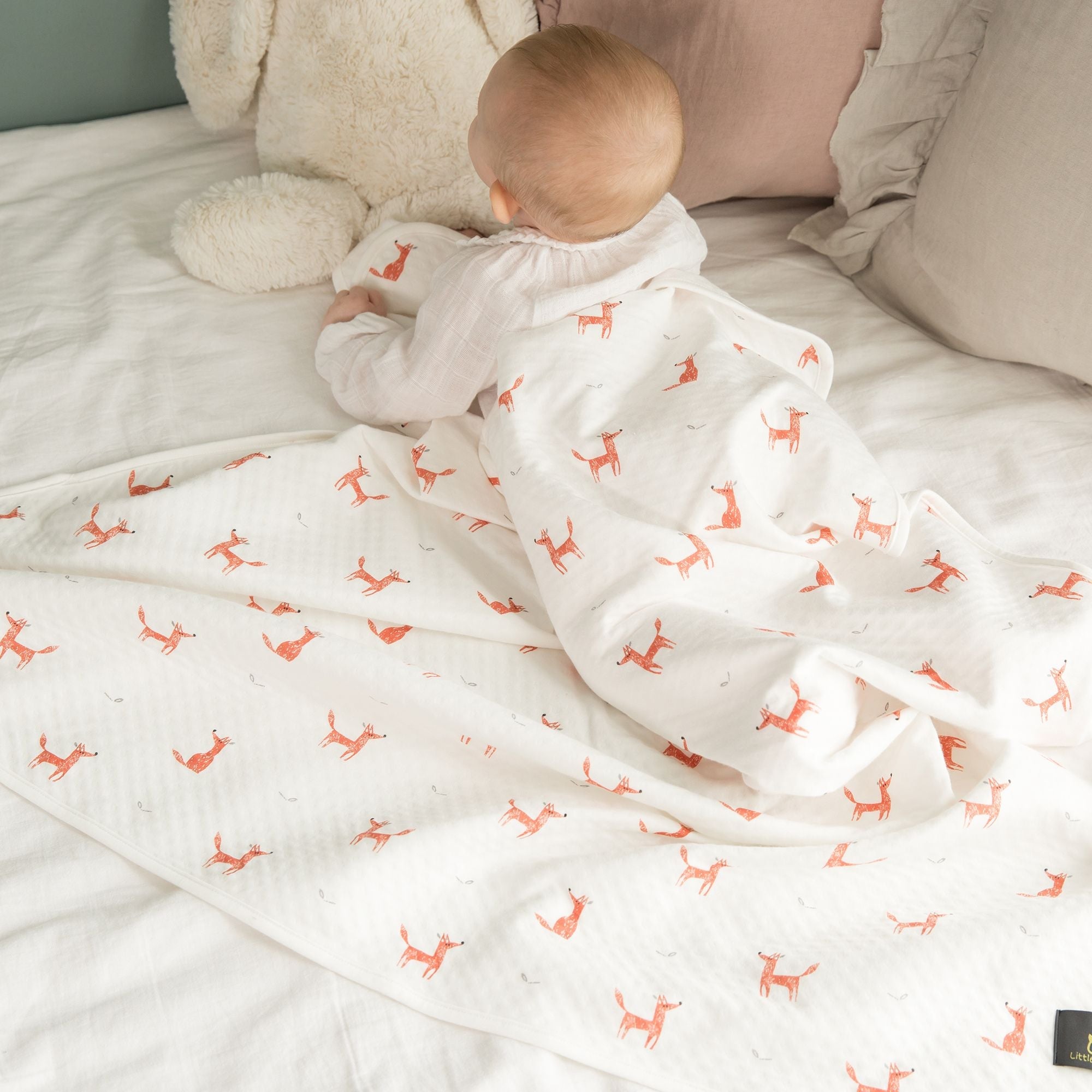 Little Fennec Organic Cotton 2-ply Knit Blanket - innobaby