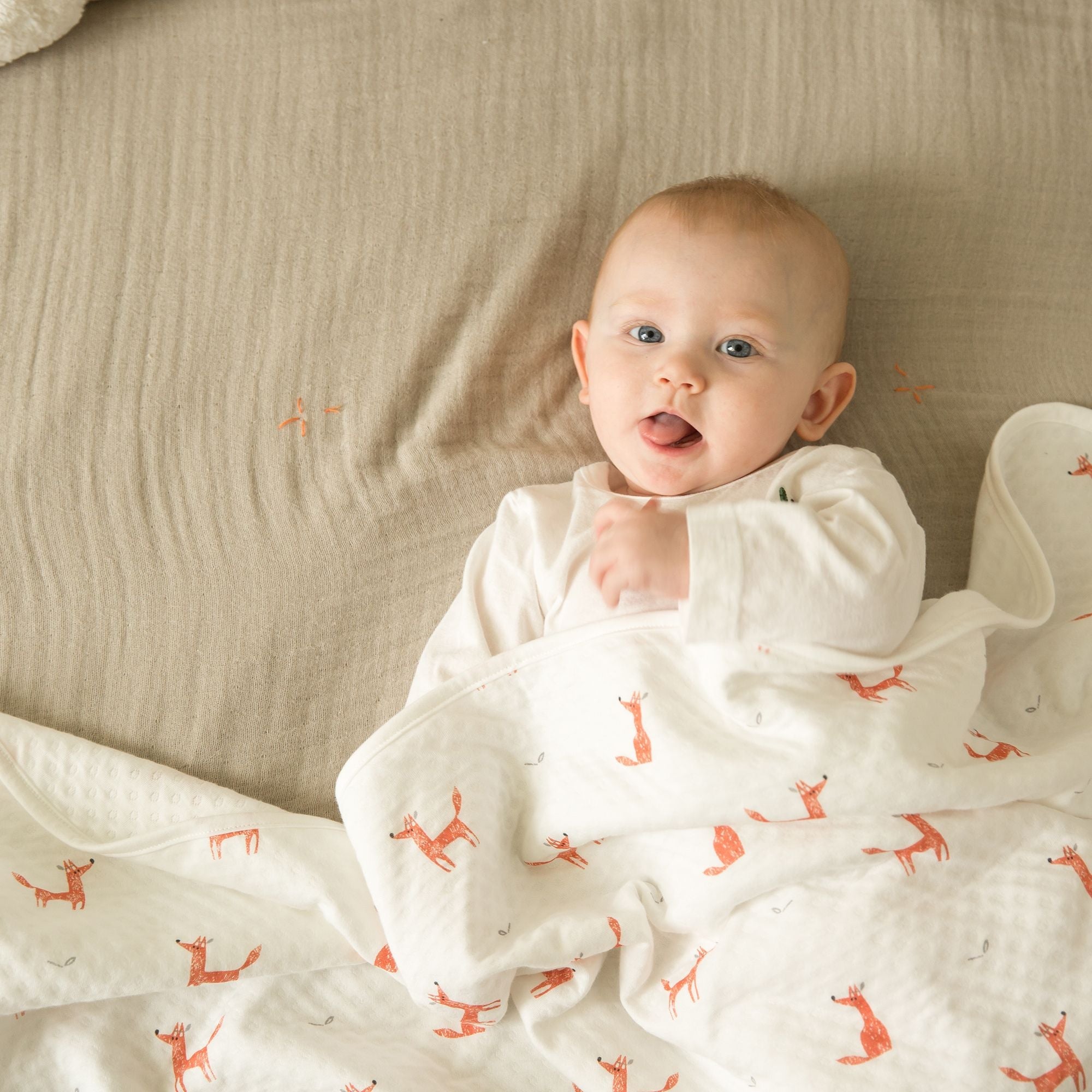 Little Fennec Organic Cotton 2-ply Knit Blanket - innobaby