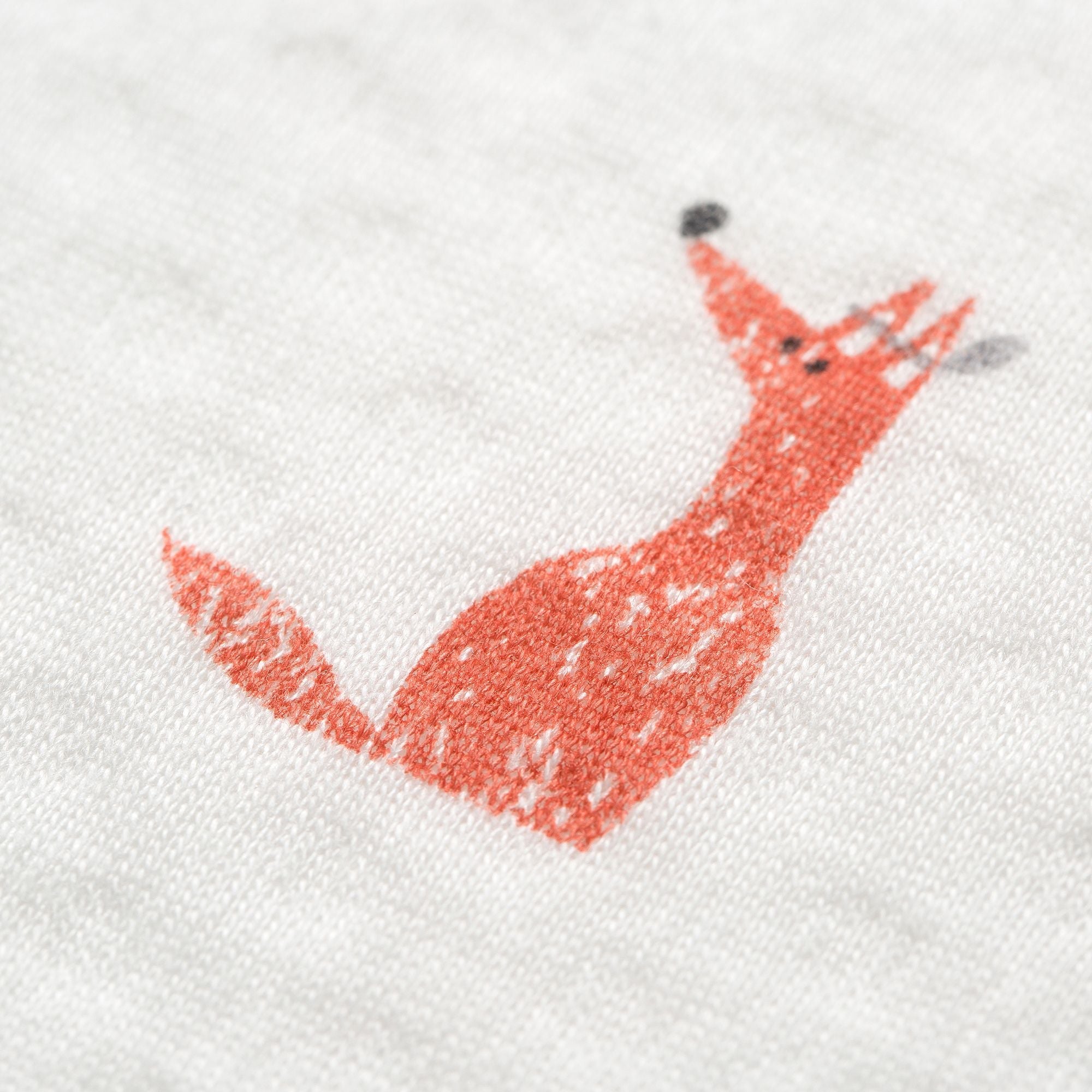 Little Fennec Organic Cotton 2-ply Knit Blanket - innobaby