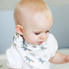 Mini Muslin Squares / 10 Pack Assorted - innobaby