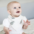 Mini Muslin Squares / 10 Pack Assorted - innobaby