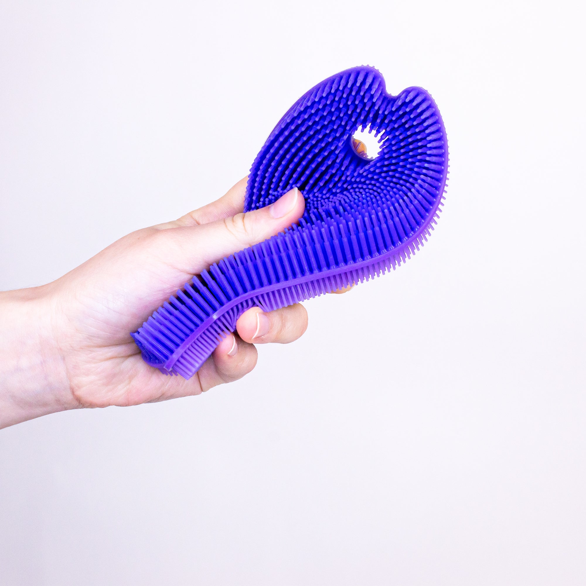 Spike Sensory Fish (12-Pack) - innobaby