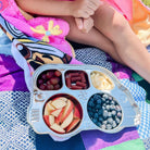 Stainless Divided Bus Plate - innobaby