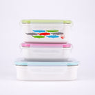 Stainless Divided Lunchbox / 19 oz - innobaby