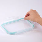 Stainless Divided Lunchbox / 19 oz - innobaby