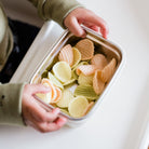 Stainless Mini Lunchbox / 16 oz / Alligator - innobaby