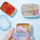 Stainless Mini Lunchbox / 16 oz / Fish - innobaby