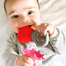 Teethin' Smart Birthstone Ring Teether - innobaby