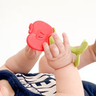 Teethin SMART EZ Grip Fruit Teether - innobaby