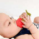 Teethin SMART EZ Grip Fruit Teether - innobaby