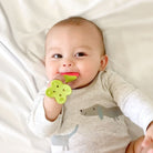 Teethin SMART EZ Grip Fruit Teether - innobaby